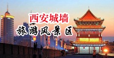 嗯啊啊用力操我视频网站中国陕西-西安城墙旅游风景区