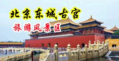 白虎舔阴网站中国北京-东城古宫旅游风景区